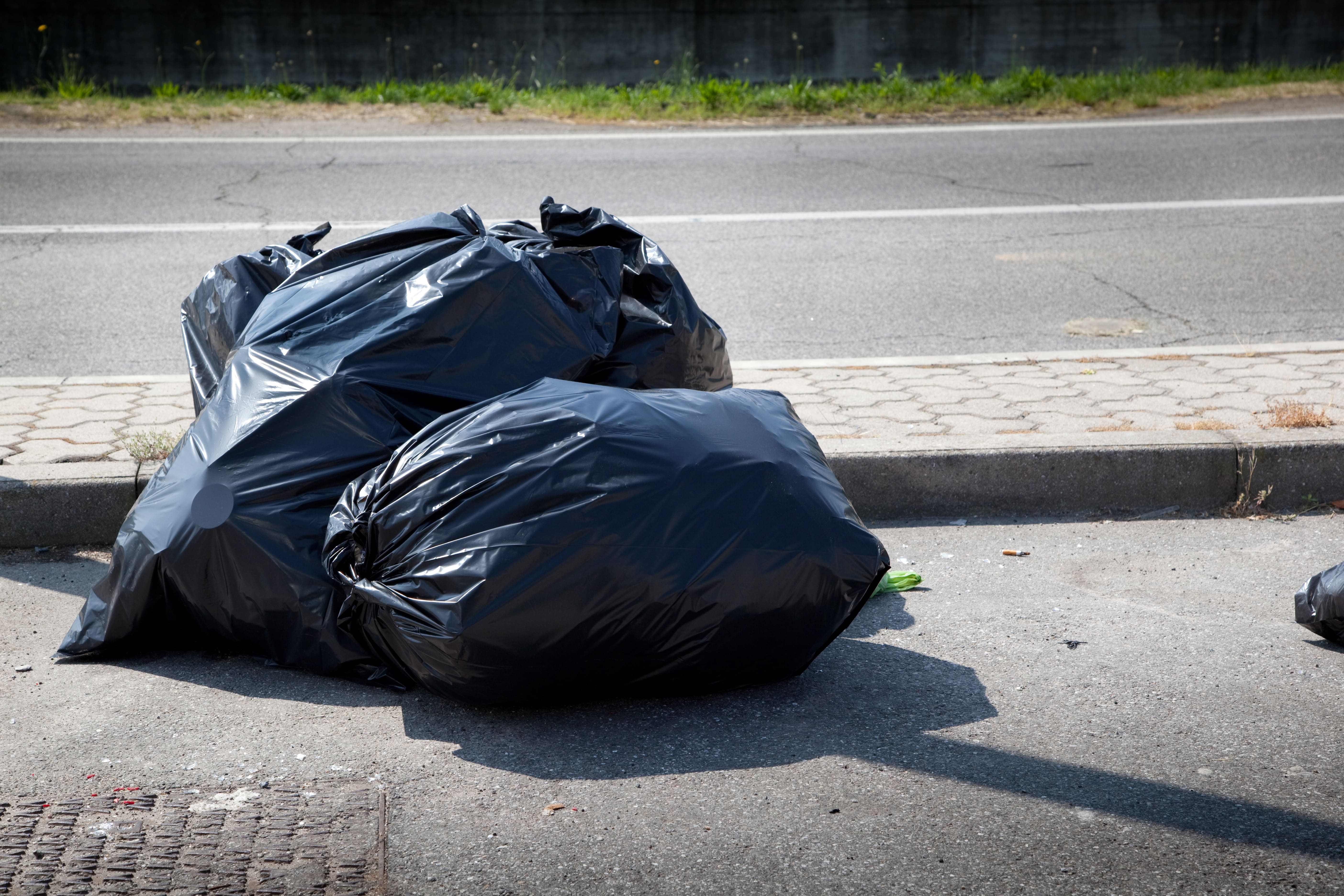 Servicio basura